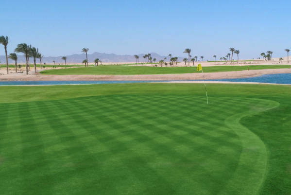 golf-1